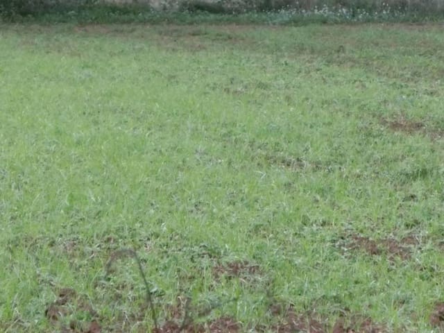 Finca/Country House for sale in Ulldecona - € 13,000 (Ref: 3113631)