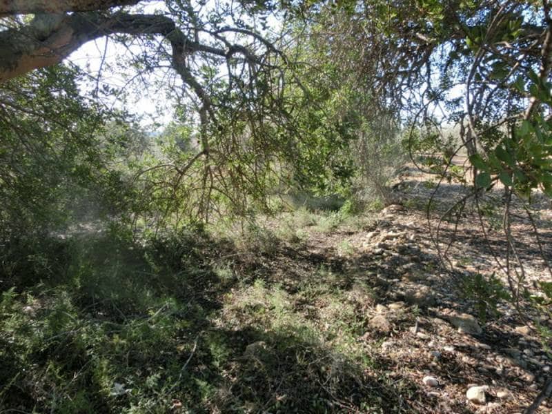 Finca/Landehus til salg i Sant Carles de la Rapita - € 17.000 (Ref: 3113697)