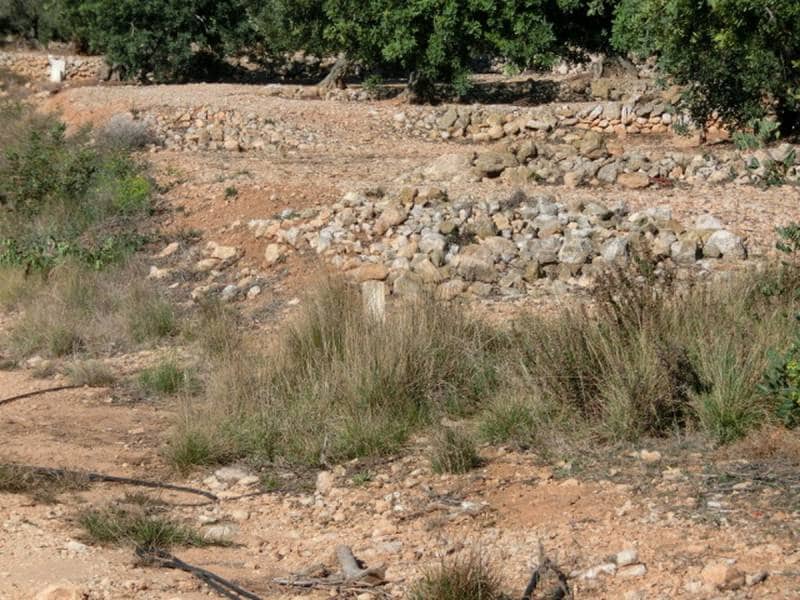 Finca/Landehus til salg i Sant Carles de la Rapita - € 17.000 (Ref: 3113697)