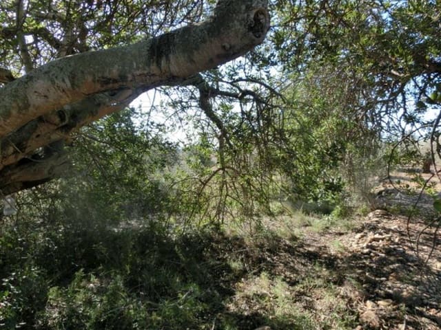 Maalaistalo myytävänä paikassa Sant Carles de la Ràpita - 17 000 € (Ref: 3113697)