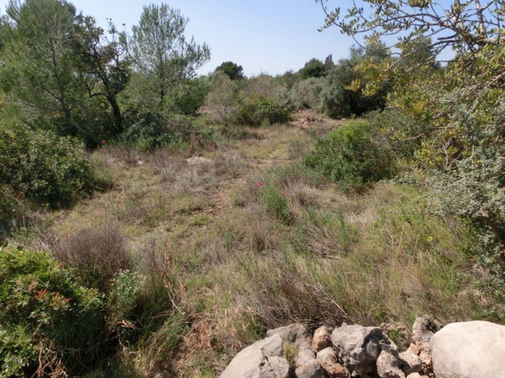 Finca/Country House for sale in Alcanar - € 28,000 (Ref: 3416607)