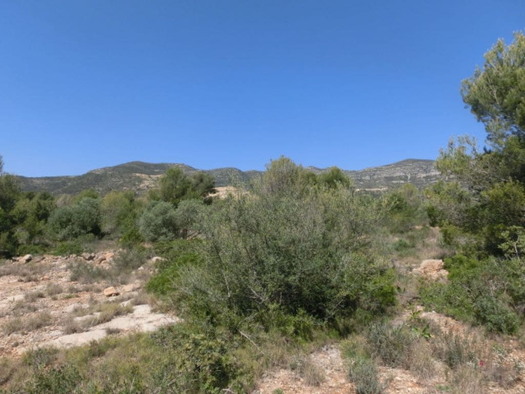 Finca/Country House for sale in Alcanar - € 28,000 (Ref: 3416607)