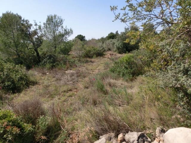 Finca/Country House for sale in Alcanar - € 28,000 (Ref: 3416607)