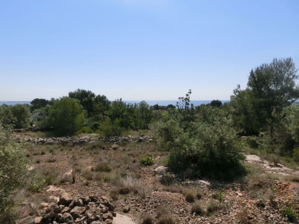 Finca/Country House for sale in Alcanar - € 28,000 (Ref: 3416607)