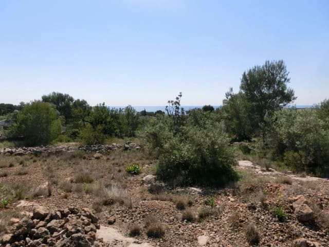 Finca/Country House for sale in Alcanar - € 28,000 (Ref: 3416607)