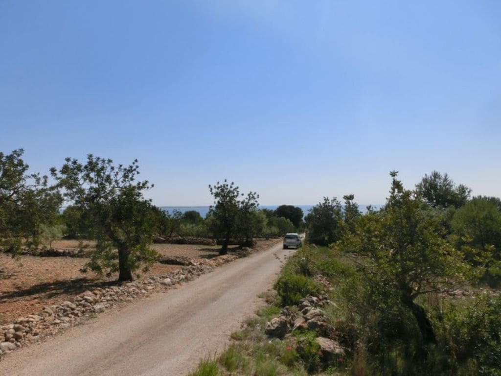 Finca/Country House for sale in Alcanar - € 28,000 (Ref: 3416607)