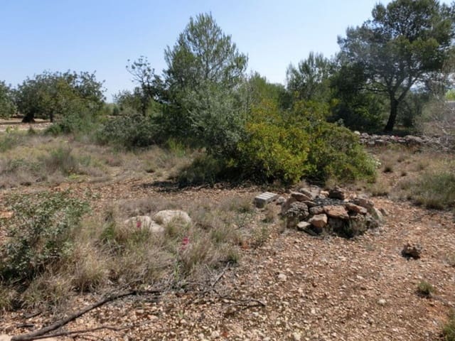 Finca/Country House for sale in Alcanar - € 28,000 (Ref: 3416607)