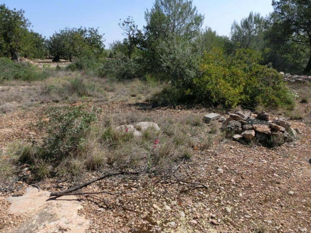 Finca/Country House for sale in Alcanar - € 28,000 (Ref: 3416607)