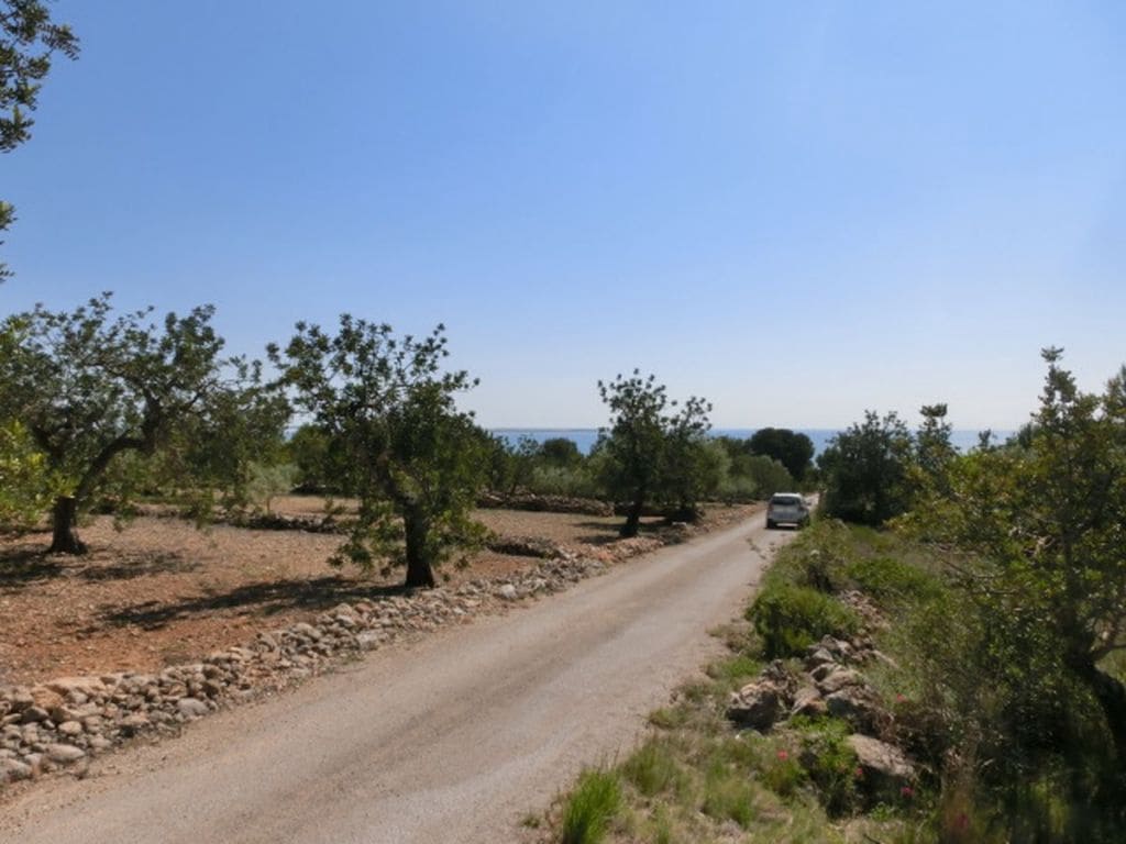 Finca/Country House for sale in Alcanar - € 28,000 (Ref: 3416607)