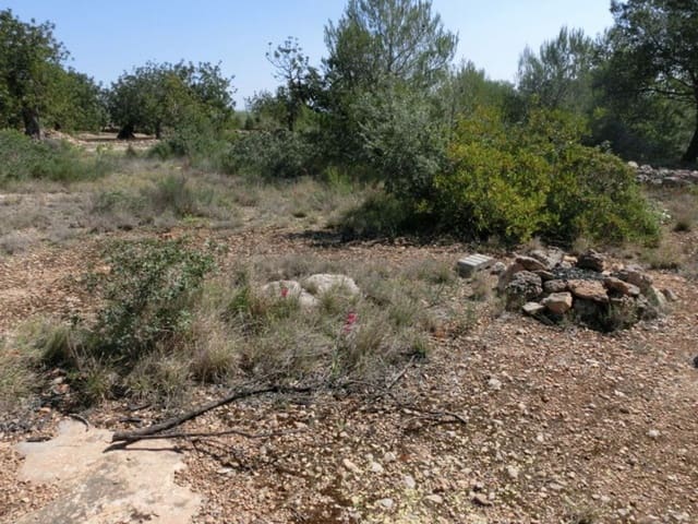 Finca/Country House for sale in Alcanar - € 28,000 (Ref: 3416607)