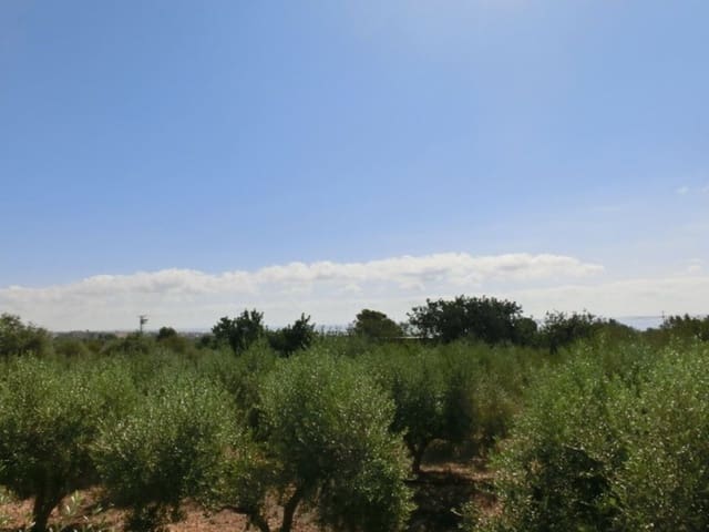 Finca/Country House for sale in Alcanar - € 130,000 (Ref: 3559483)