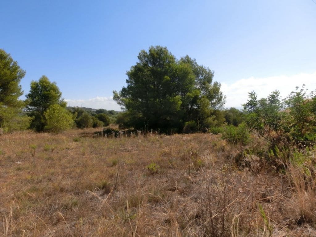 Finca/Herregård til salgs i Alcanar - € 130 000 (Ref: 3559483)