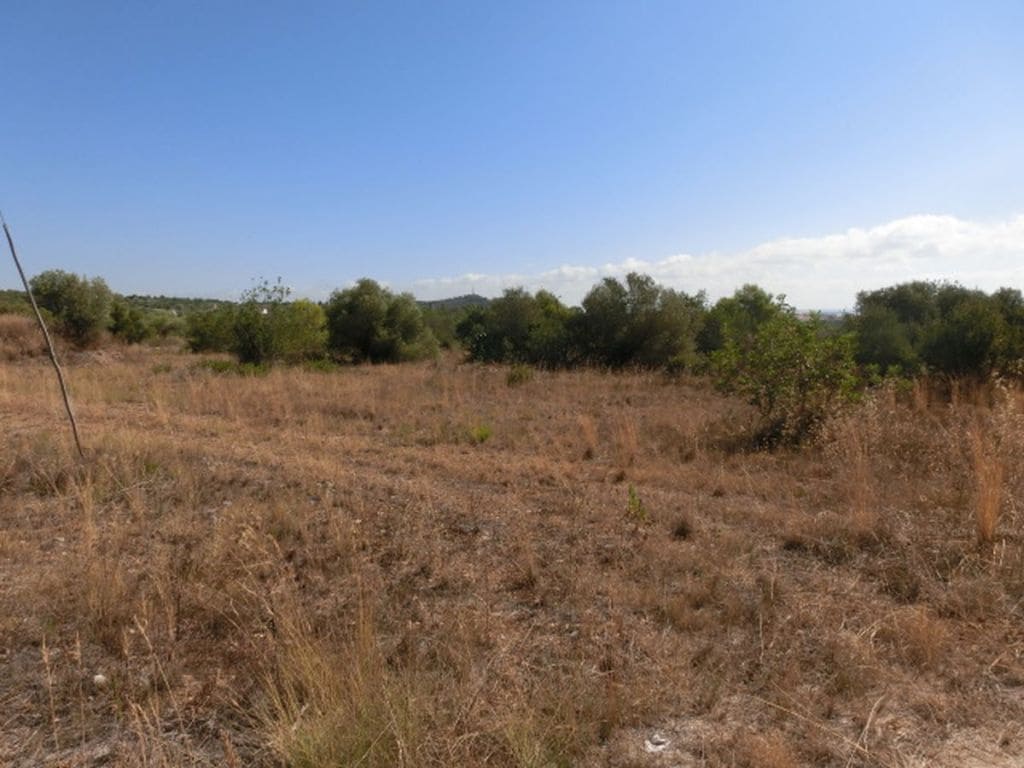 Finca/Herregård til salgs i Alcanar - € 130 000 (Ref: 3559483)