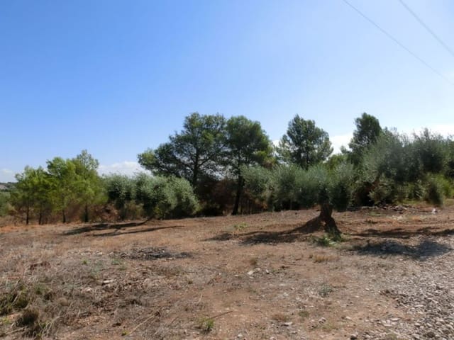 Finca/Country House for sale in Alcanar - € 130,000 (Ref: 3559483)