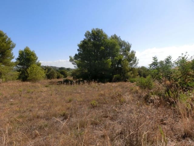 Finca/Country House for sale in Alcanar - € 130,000 (Ref: 3559483)