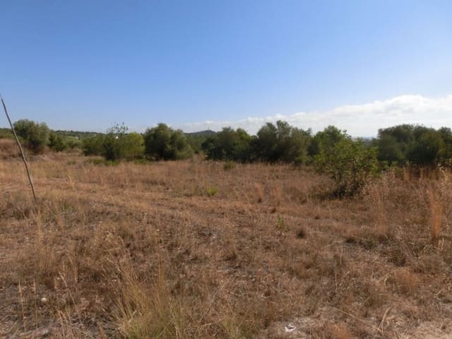 Finca/Country House for sale in Alcanar - € 130,000 (Ref: 3559483)