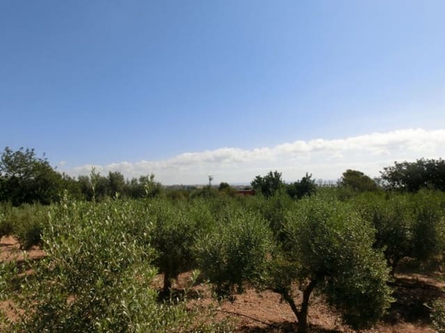 Finca/Country House for sale in Alcanar - € 130,000 (Ref: 3559483)