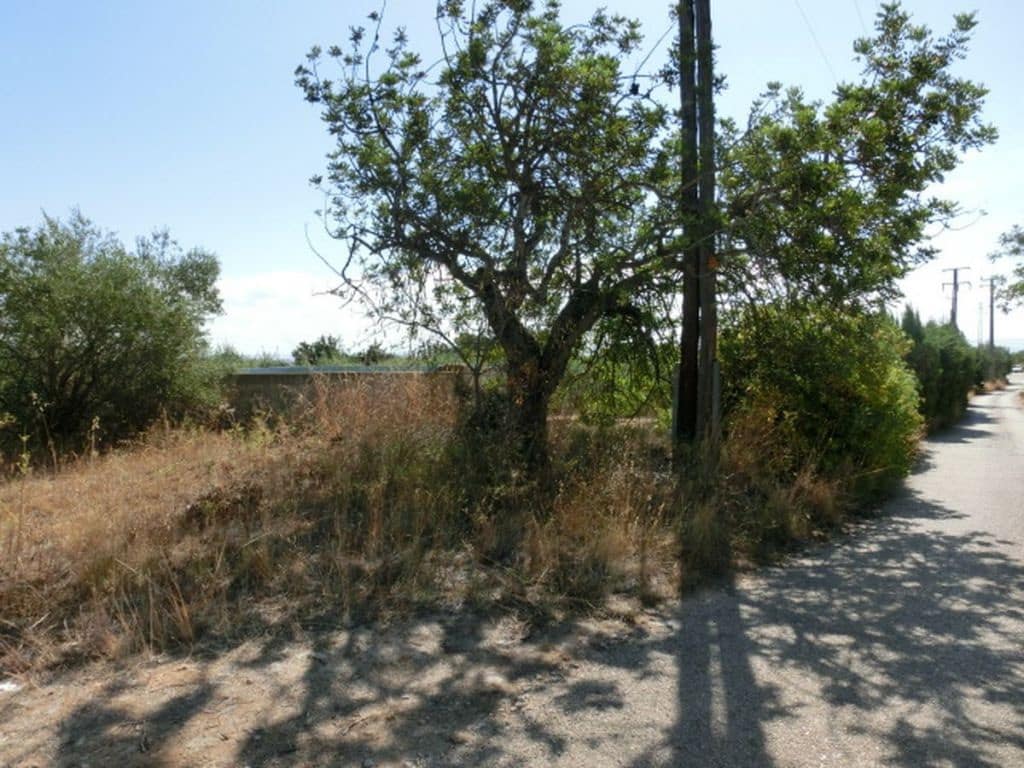 Finca/Herregård til salgs i Alcanar - € 130 000 (Ref: 3559483)