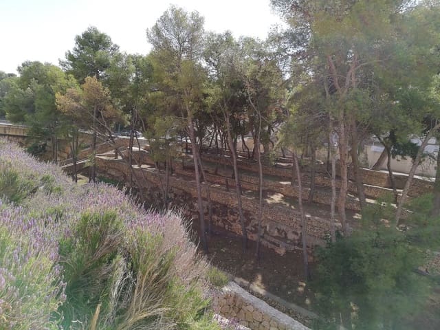 Bauplatz zu verkaufen in Sant Carles de la Ràpita - 67.000 € (Ref: 3852100)