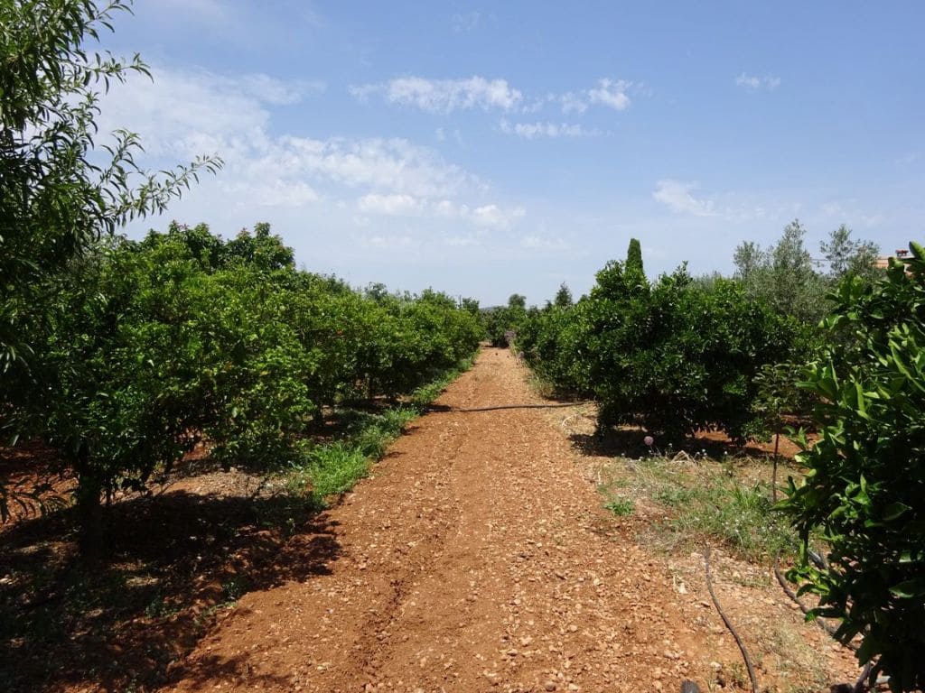 3 soverom Finca/Herregård til salgs i Les Cases d'Alcanar med svømmebasseng garasje - € 180 000 (Ref: 3911630)