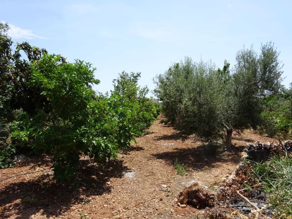 3 soverom Finca/Herregård til salgs i Les Cases d'Alcanar med svømmebasseng garasje - € 180 000 (Ref: 3911630)