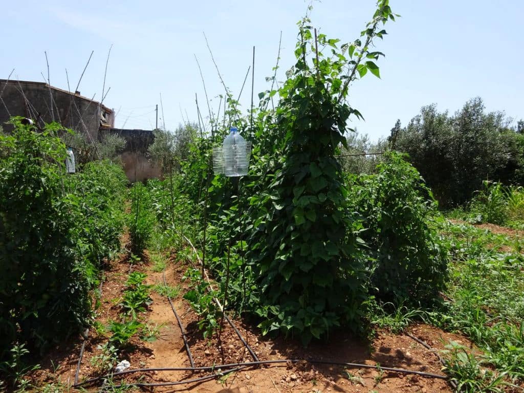 3 soverom Finca/Herregård til salgs i Les Cases d'Alcanar med svømmebasseng garasje - € 180 000 (Ref: 3911630)