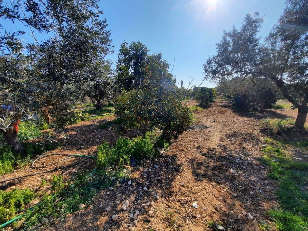 3 soverom Finca/Herregård til salgs i Les Cases d'Alcanar med svømmebasseng garasje - € 180 000 (Ref: 3911630)