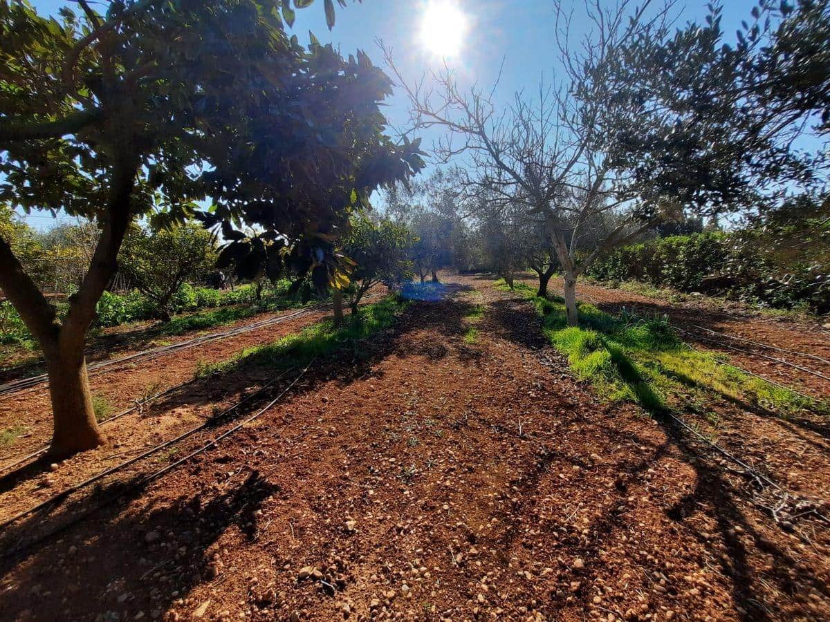 3 soverom Finca/Herregård til salgs i Les Cases d'Alcanar med svømmebasseng garasje - € 180 000 (Ref: 3911630)