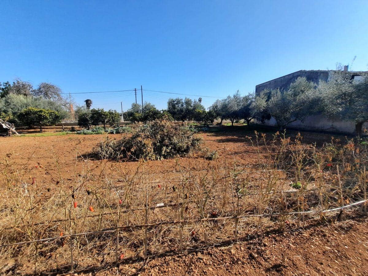 3 soverom Finca/Herregård til salgs i Les Cases d'Alcanar med svømmebasseng garasje - € 180 000 (Ref: 3911630)