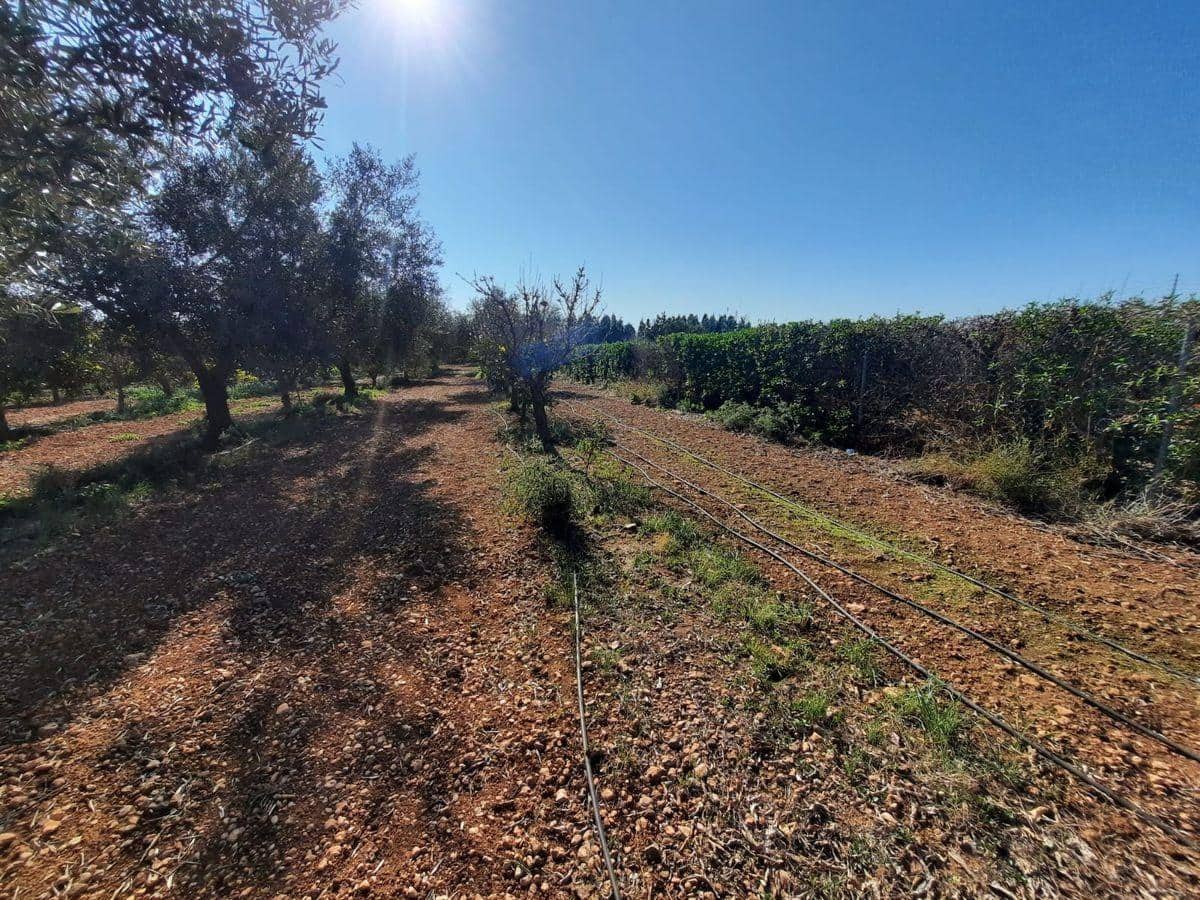 3 soverom Finca/Herregård til salgs i Les Cases d'Alcanar med svømmebasseng garasje - € 180 000 (Ref: 3911630)