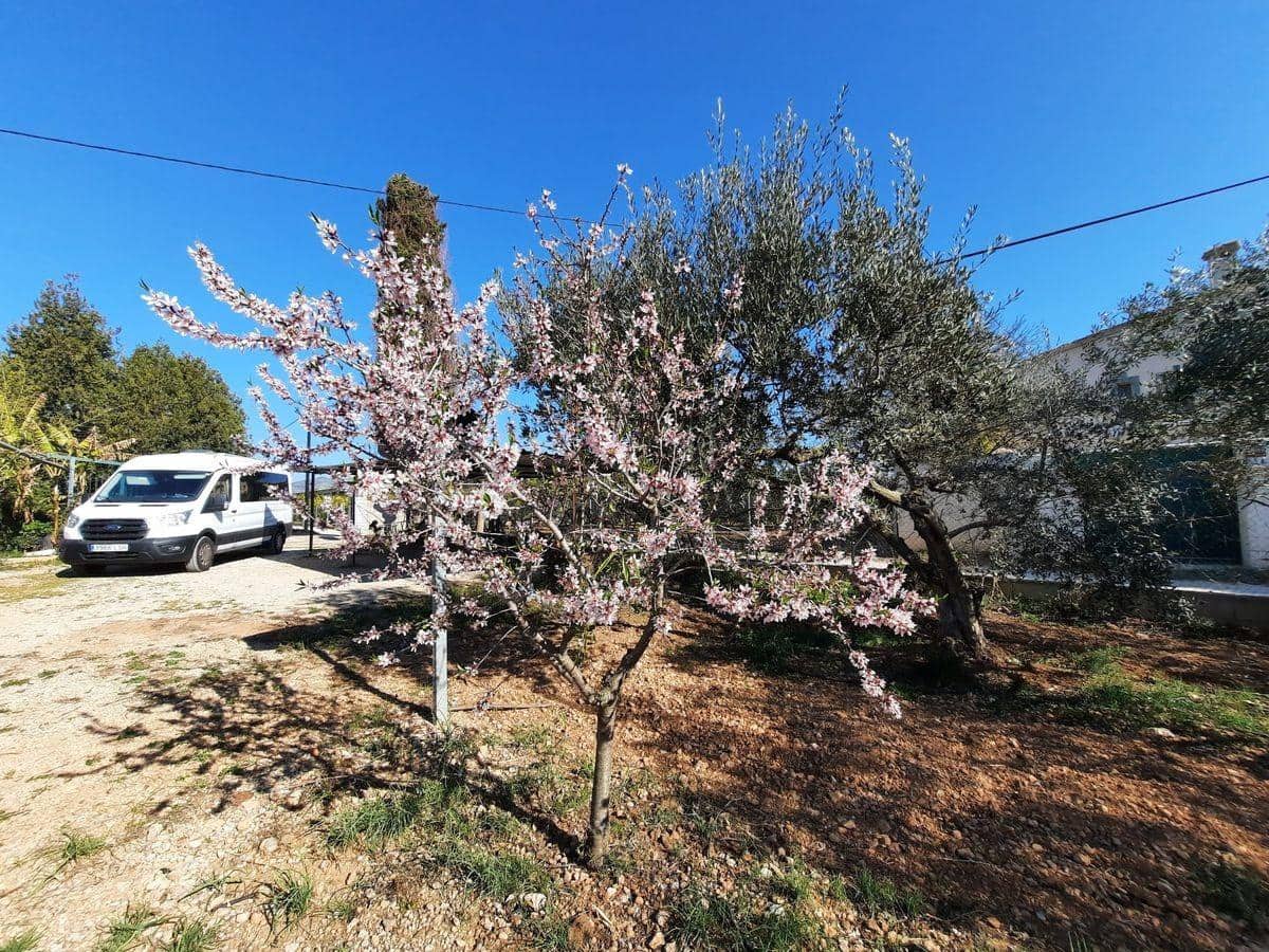 3 soverom Finca/Herregård til salgs i Les Cases d'Alcanar med svømmebasseng garasje - € 180 000 (Ref: 3911630)