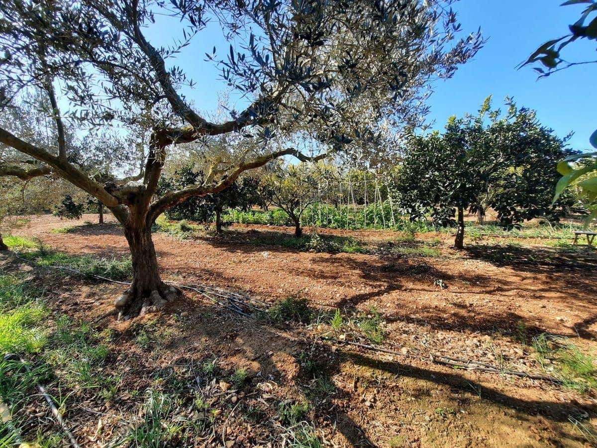 3 soverom Finca/Herregård til salgs i Les Cases d'Alcanar med svømmebasseng garasje - € 180 000 (Ref: 3911630)