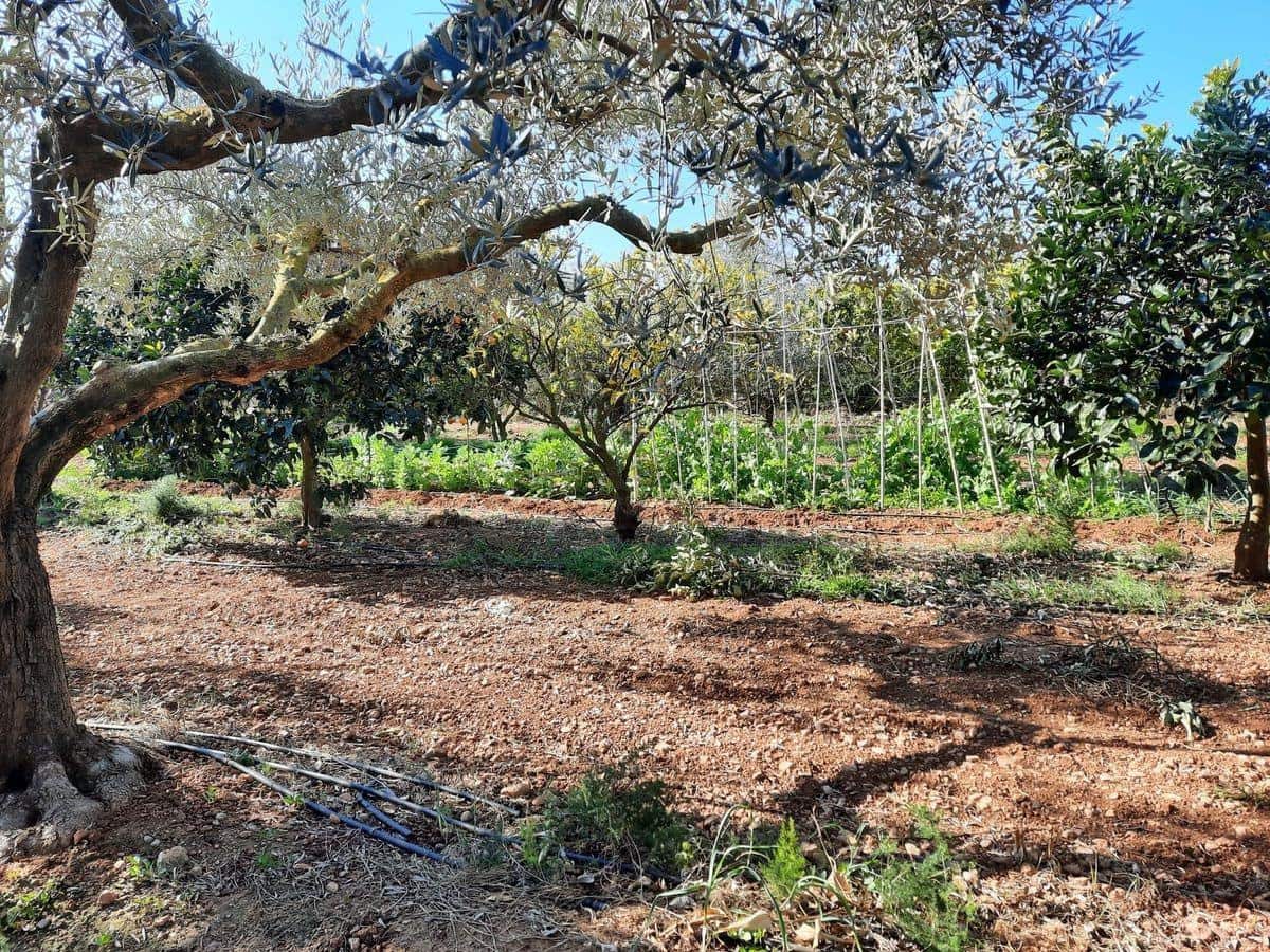 3 soverom Finca/Herregård til salgs i Les Cases d'Alcanar med svømmebasseng garasje - € 180 000 (Ref: 3911630)