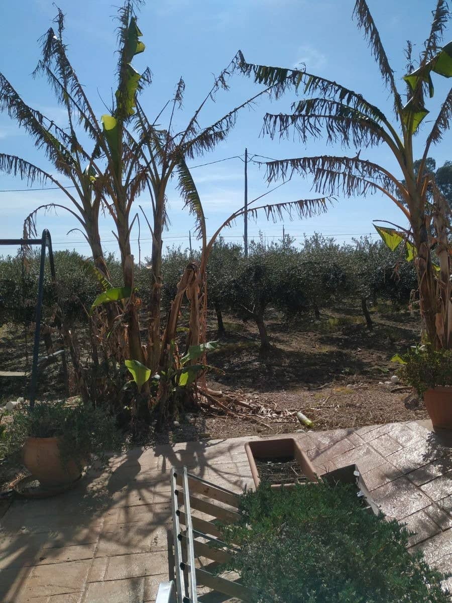 2 soverom Finca/Herregård til salgs i Sant Carles de la Rapita med svømmebasseng - € 420 000 (Ref: 6168826)