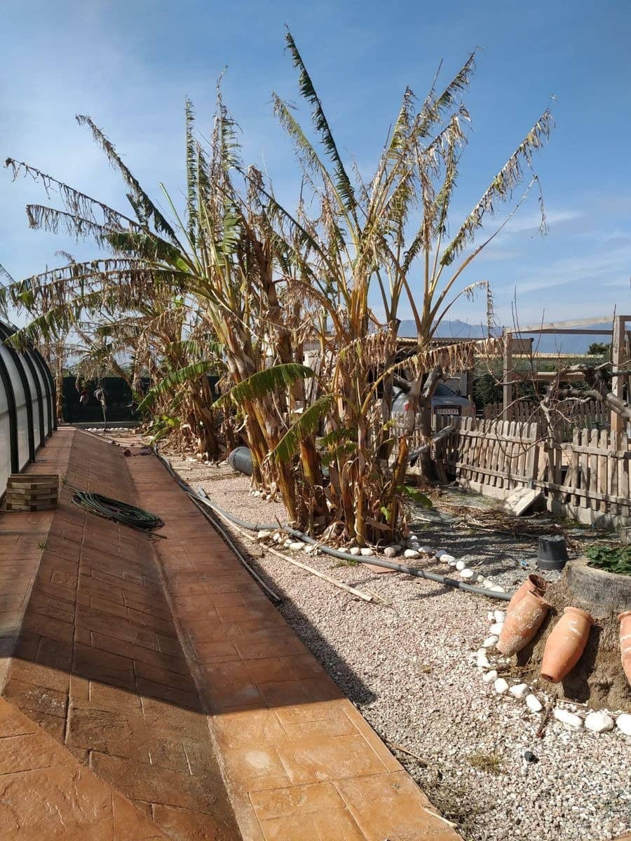 2 soverom Finca/Herregård til salgs i Sant Carles de la Rapita med svømmebasseng - € 420 000 (Ref: 6168826)