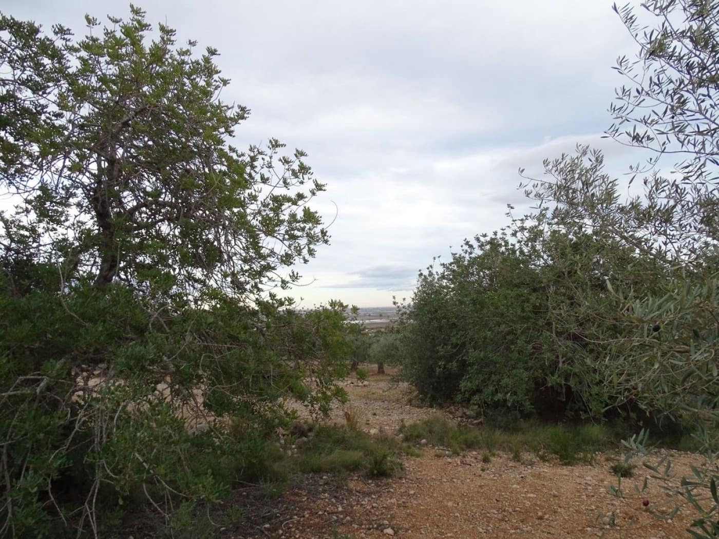 Finca/Landehus til salg i Sant Carles de la Rapita - € 90.000 (Ref: 6168938)
