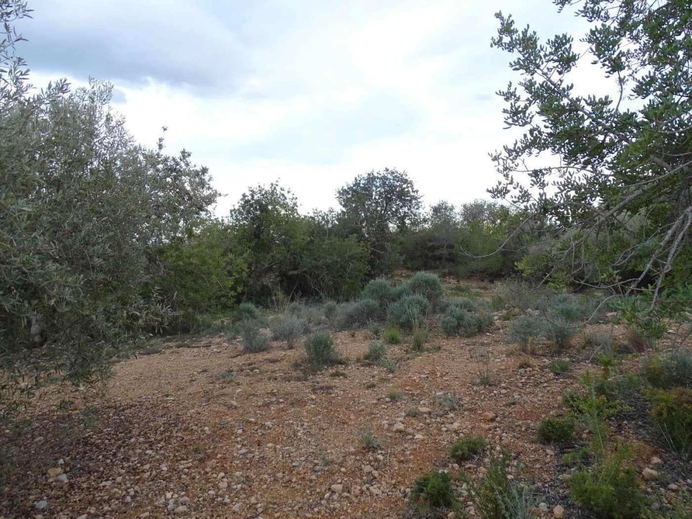 Finca/Landehus til salg i Sant Carles de la Rapita - € 90.000 (Ref: 6168938)