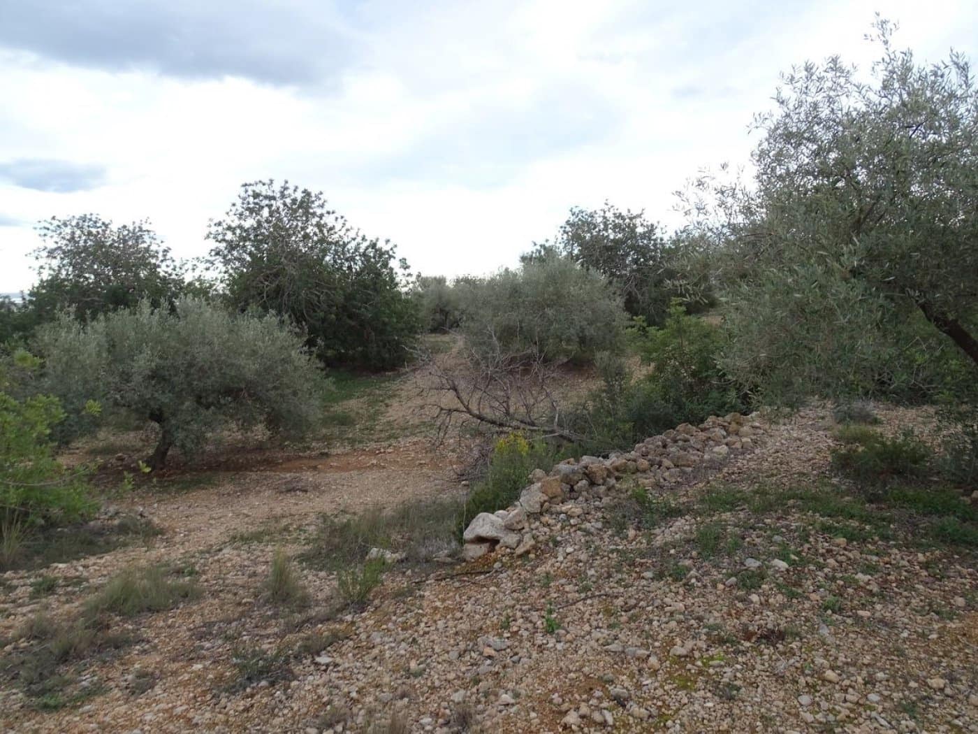 Finca/Landehus til salg i Sant Carles de la Rapita - € 90.000 (Ref: 6168938)
