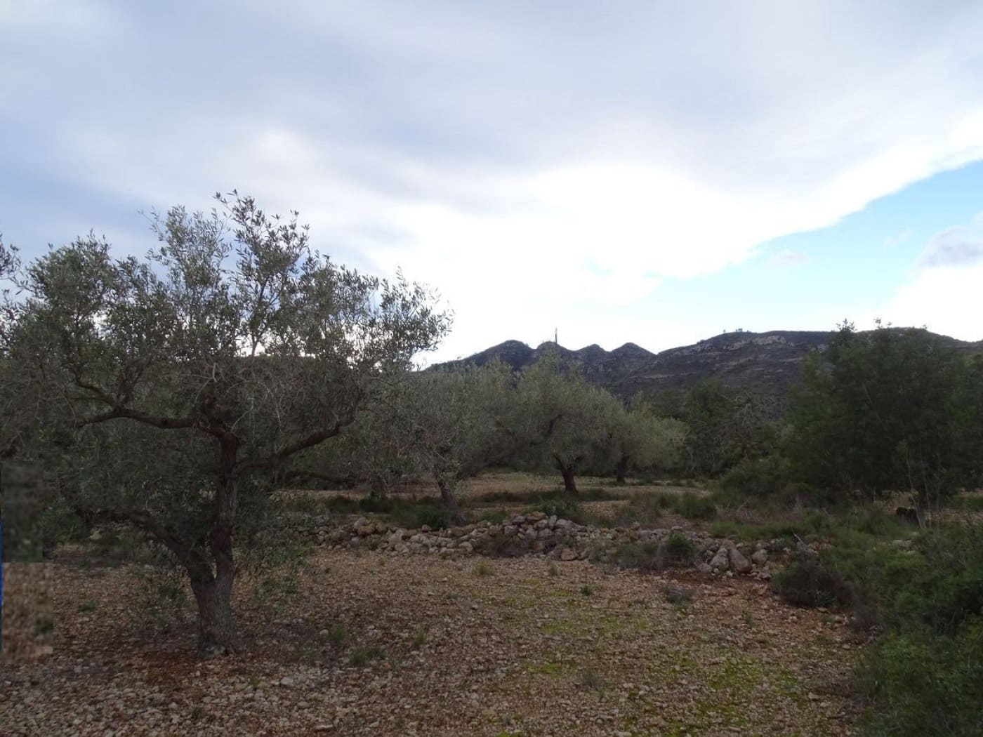 Finca/Landehus til salg i Sant Carles de la Rapita - € 90.000 (Ref: 6168938)