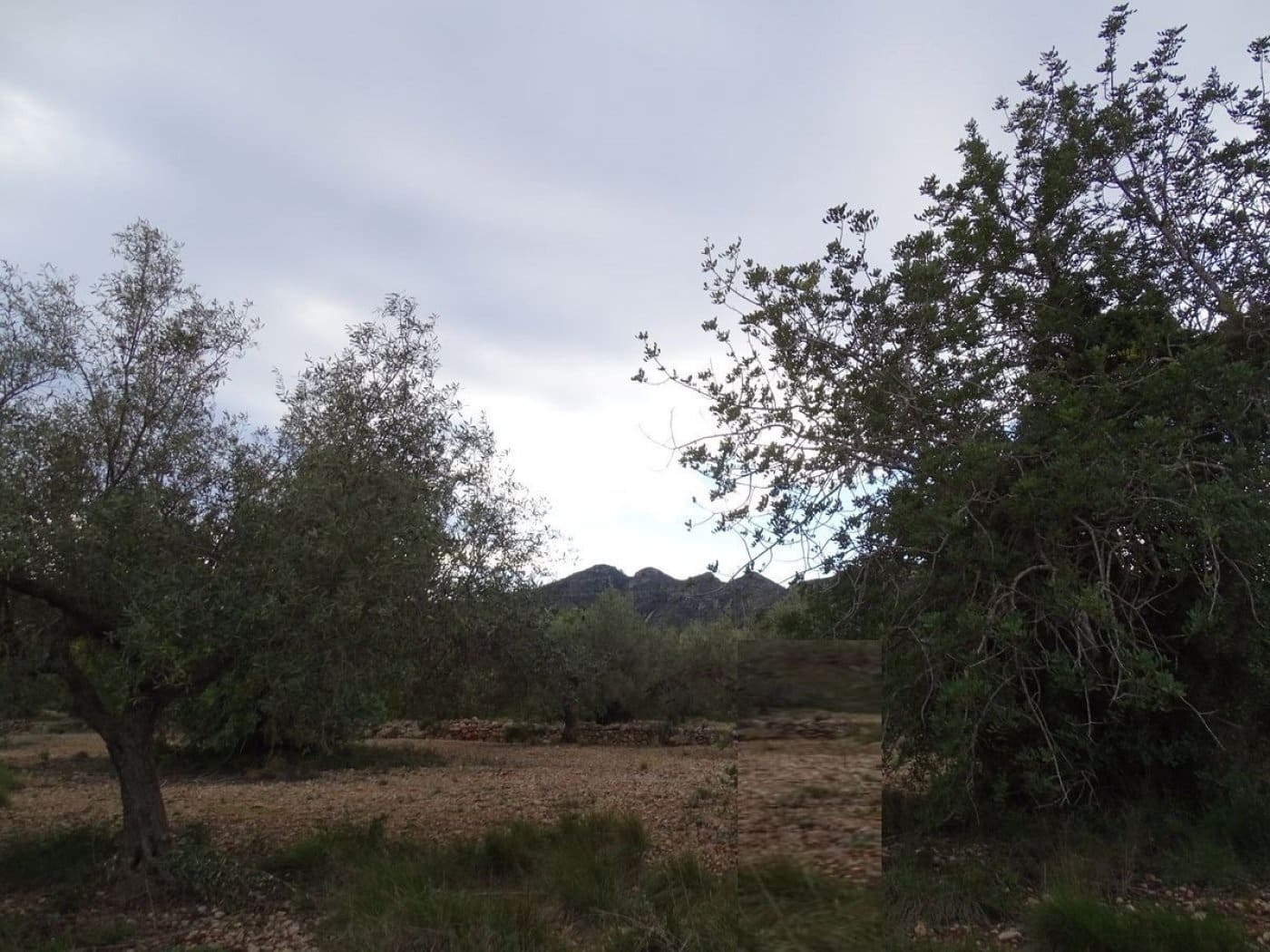 Finca/Landehus til salg i Sant Carles de la Rapita - € 90.000 (Ref: 6168938)