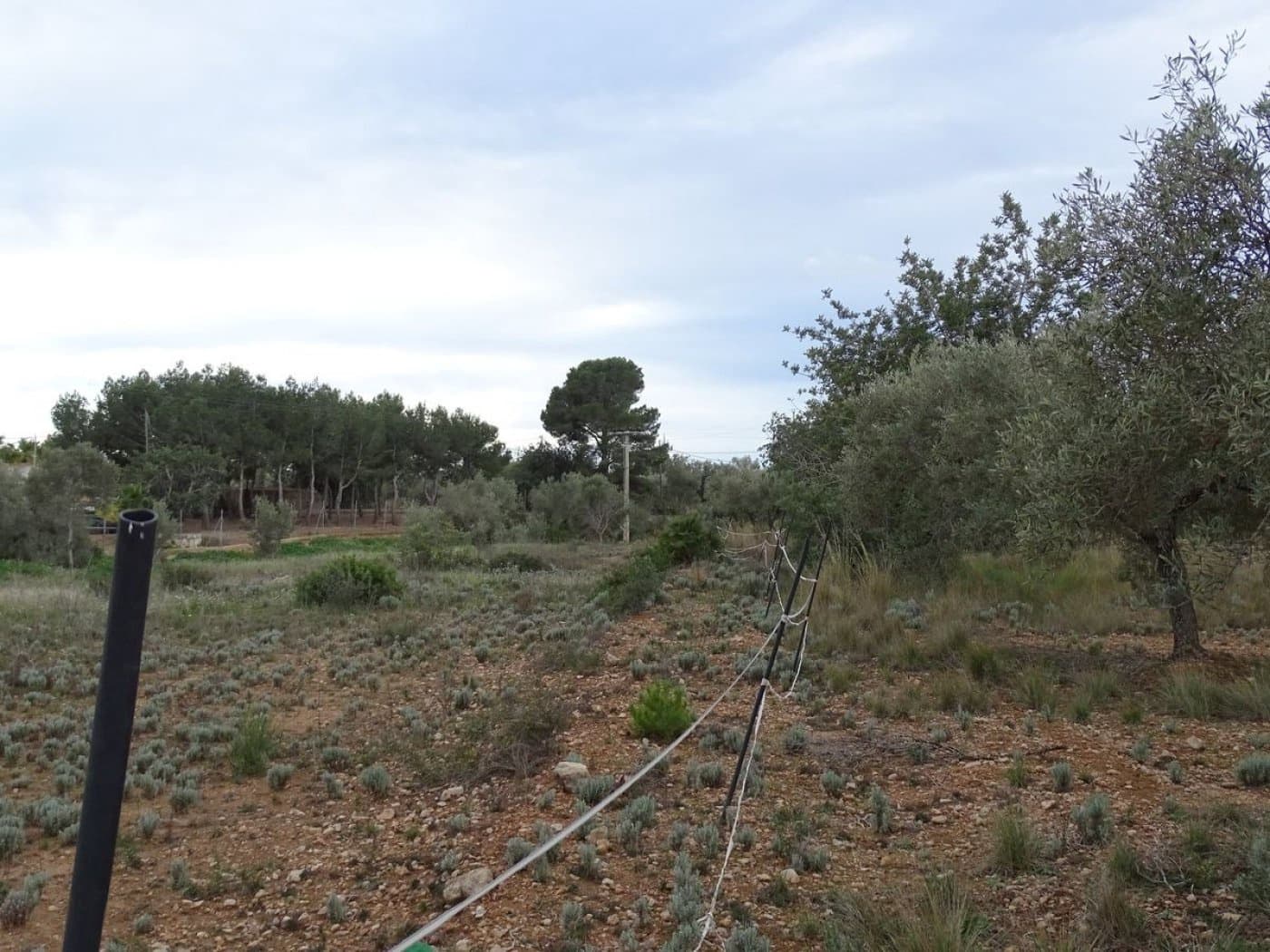 Finca/Landehus til salg i Sant Carles de la Rapita - € 90.000 (Ref: 6168938)