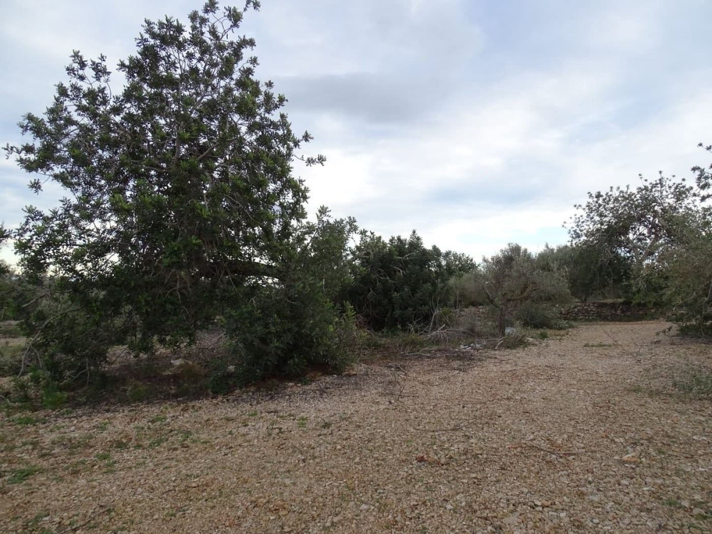 Finca/Landehus til salg i Sant Carles de la Rapita - € 90.000 (Ref: 6168938)