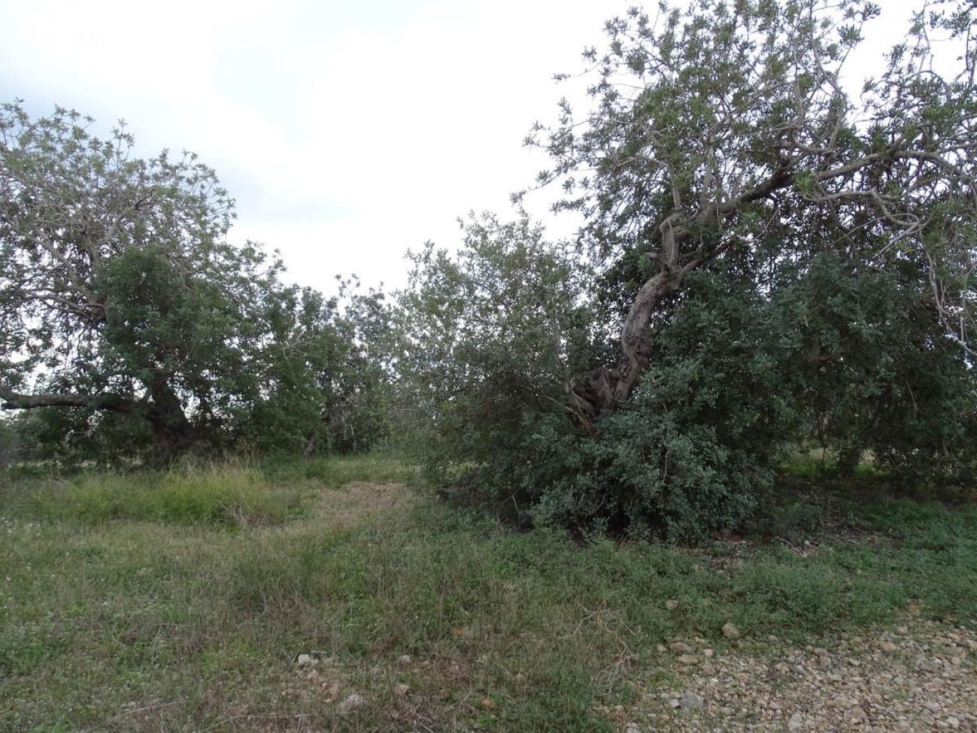 Finca/Landehus til salg i Sant Carles de la Rapita - € 90.000 (Ref: 6168938)