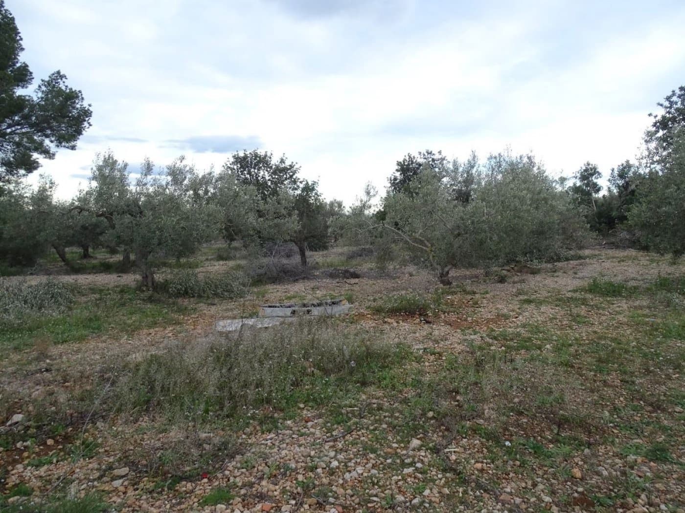 Finca/Landehus til salg i Sant Carles de la Rapita - € 90.000 (Ref: 6168938)