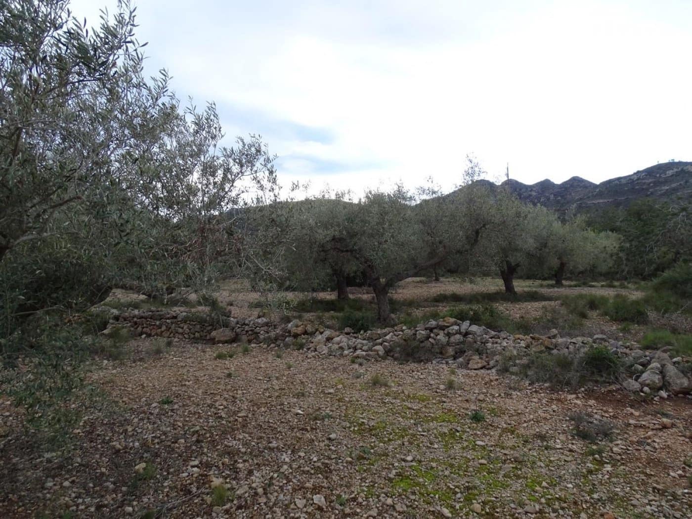 Finca/Landehus til salg i Sant Carles de la Rapita - € 90.000 (Ref: 6168938)