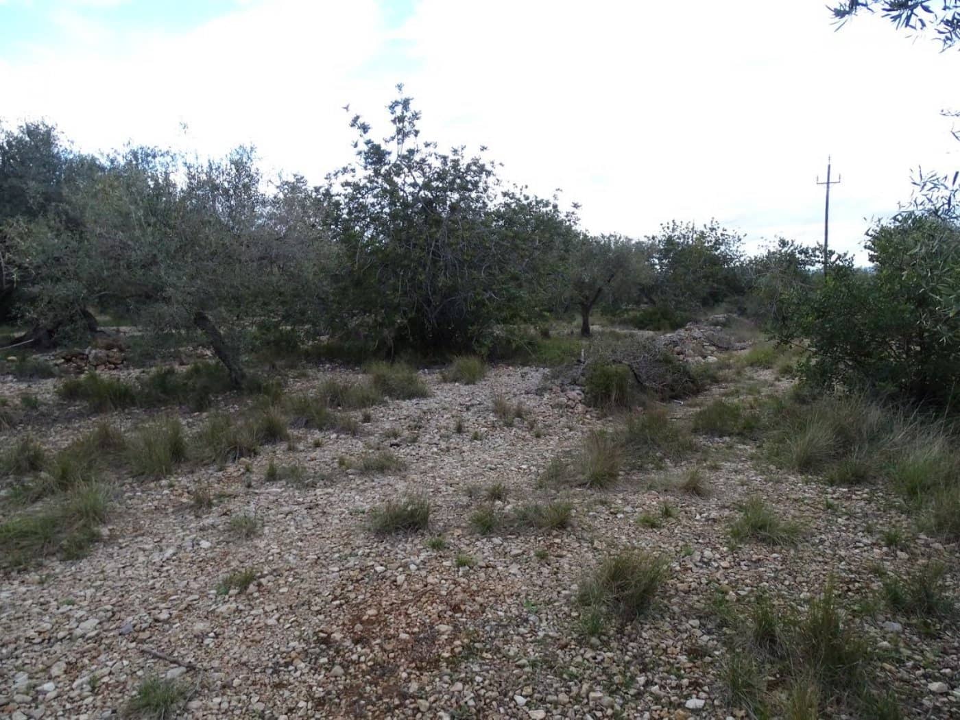 Finca/Landehus til salg i Sant Carles de la Rapita - € 90.000 (Ref: 6168938)