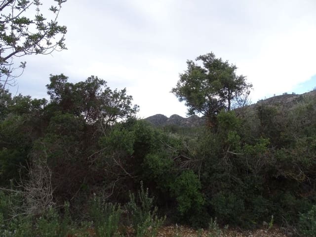 Maalaistalo myytävänä paikassa Sant Carles de la Ràpita - 90 000 € (Ref: 6168938)