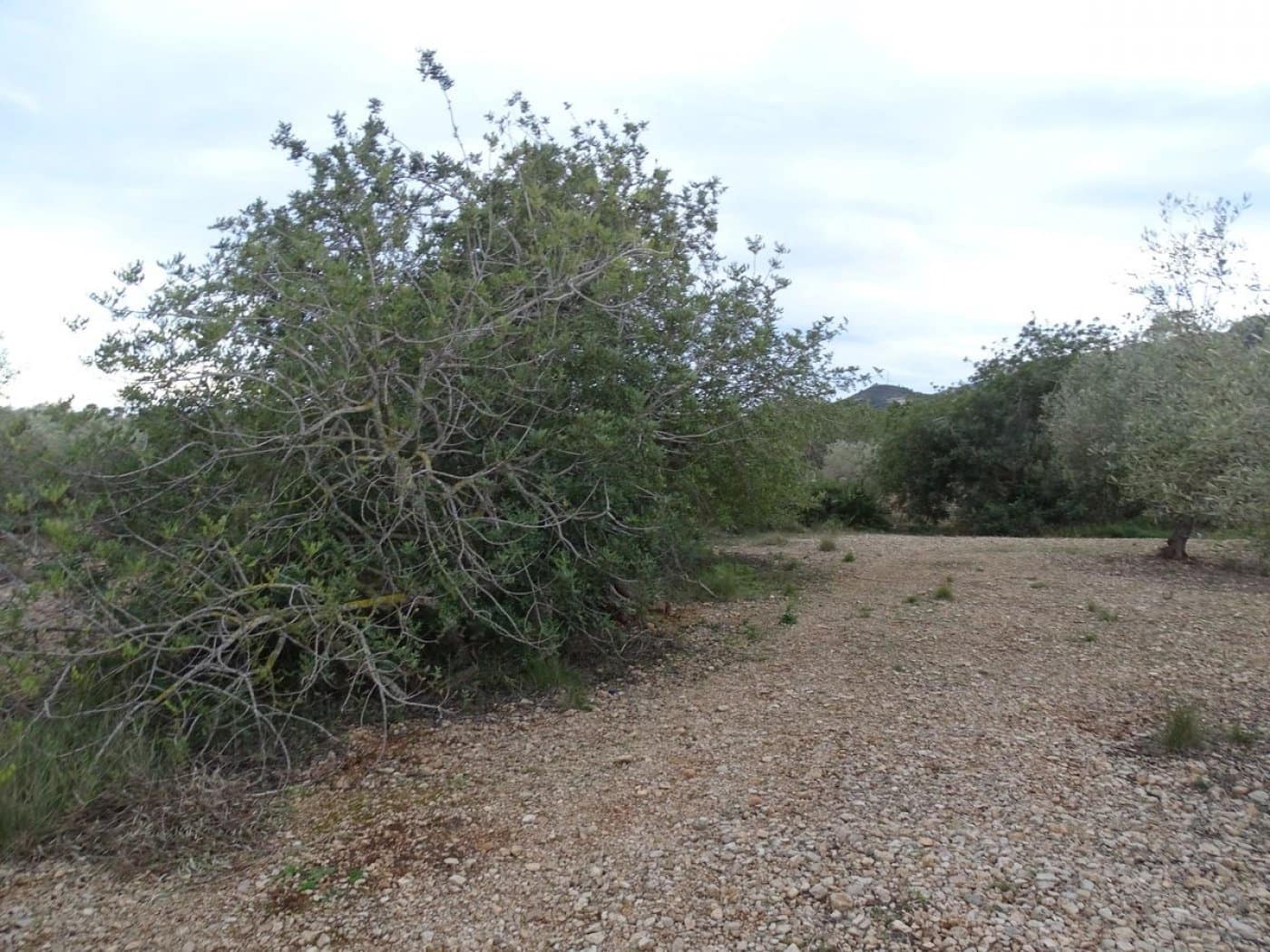 Finca/Landehus til salg i Sant Carles de la Rapita - € 90.000 (Ref: 6168938)