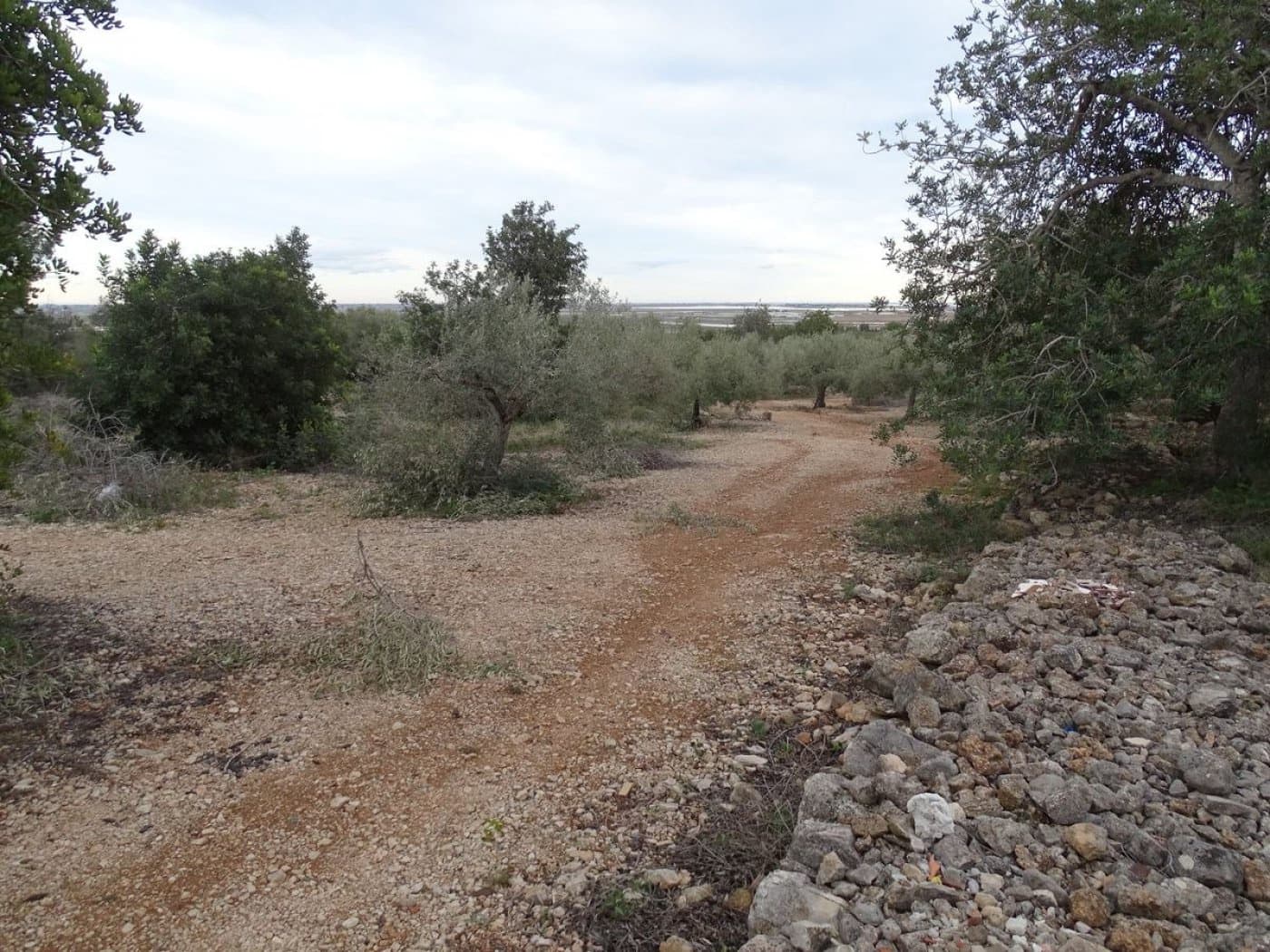 Finca/Landehus til salg i Sant Carles de la Rapita - € 90.000 (Ref: 6168938)