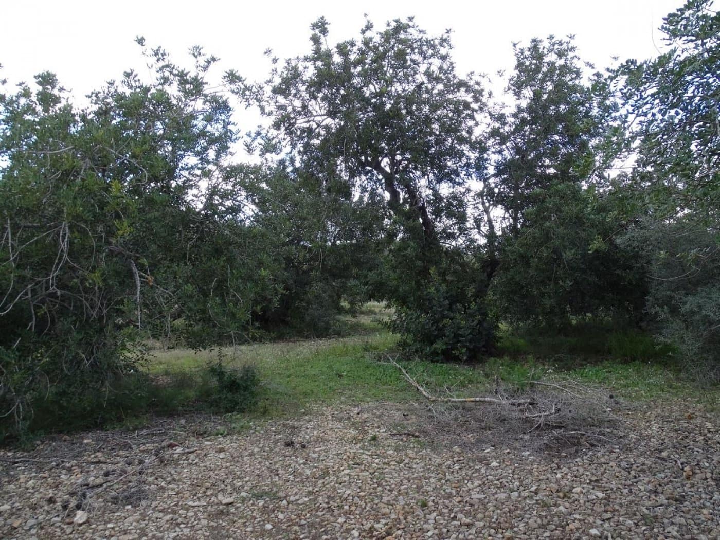 Finca/Landehus til salg i Sant Carles de la Rapita - € 90.000 (Ref: 6168938)